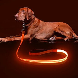  [h  UCg led[h ^A^A^p[h 1.2m  USB[d [hCgt F500m (120cm, IWF)