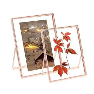 tHgt[ 7 ʐ^Đʐ^t[ 2 KX ܂肽ݎ ƑAFlAƎAAVzj fUC