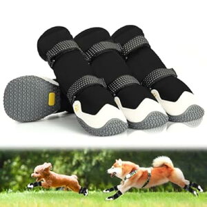 C pu[c hbOV[Y N H~p h ۉ 2d\e[v ₷ Eɂ ی ~ ϋvS U J̓ h rߖh~  Ԕ˃e[vt &