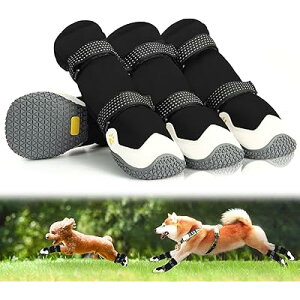 C pu[c hbOV[Y N H~p h ۉ 2d\e[v ₷ Eɂ ی ~ ϋvS U J̓ h rߖh~  Ԕ˃e[vt &