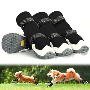 C pu[c hbOV[Y N H~p h ۉ 2d\e[v ₷ Eɂ ی ~ ϋvS U J̓ h rߖh~  Ԕ˃e[vt &