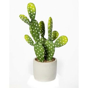 tFCNO[ CeAO[ T{e 33CM A lH ϗtA tFCN  ϗt  ȒP? sv Q쏜sv  Mtg (33CM)