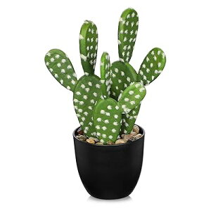 tFCNO[ CeAO[ T{e A lH ϗtA tFCN  ϗt  ȒP? sv Q쏜sv  Mtg