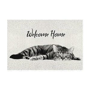 փ}bg O  L/  IV 􂦂 ~ D ϖՐ  J[ybg AOAցAQAL |ȒP(50x80,SԂ̔L)