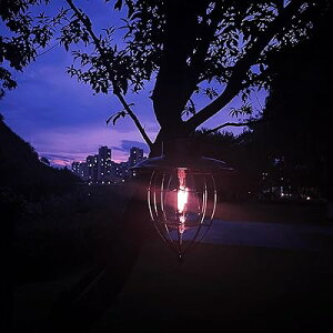 \[[v AeB[N K[fv ACA g ^ h LED^ \[[^ AEghA t@bV ȃGl Cg ԐڏƖ ͋CÂ ݂艺 