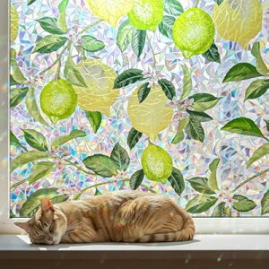 KXډBtB  ډBV[g KXtB œ\Ă͂ ptB O猩Ȃ UVJbg Uh~( 30x120cm)