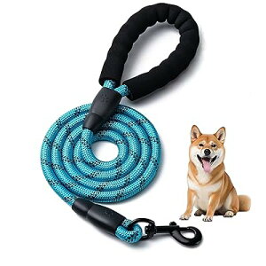  [h ₷X|W ^ ^ ^p[h  P Lk y