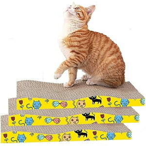 timiland L ߂Ƃ _{[ 3Zbg 傫ȔLƎqLK LXNb` ˂ ܂Ƃ}b