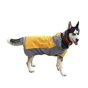 CR[g   pČHJbp  Jbp y^zy^zn_炩