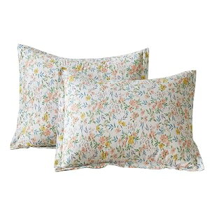 Jo[ 43x63cm 2g GKgЂt sP[X h_j R hL  ԕ 