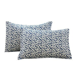 Jo[ 43x63cm 2g GKgЂt sP[X h_j R hL  ԕ 