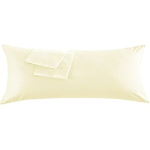 Jo[ ㎿Ȗ100 300{xn zei _̂悤ɏ_炩ȎG肪 