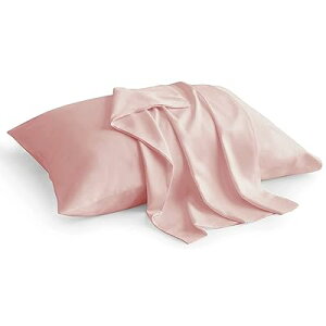 Jo[ VR|@100% Jo[ _炩 炳甧G n s[P[X 􂦂