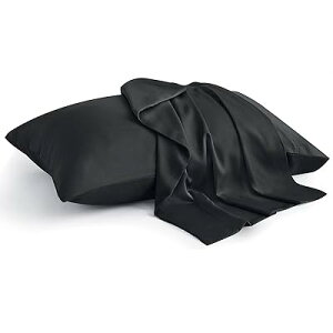 Jo[ VR|@100% Jo[ _炩 炳甧G n s[P[X 􂦂