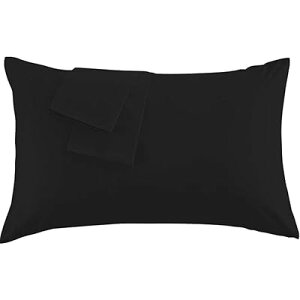 Jo[ ㎿Ȗ100 300{xn zei _̂悤ɏ_炩ȎG肪 