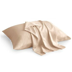 Jo[ VR|@100% Jo[ _炩 炳甧G n s[P[X 􂦂