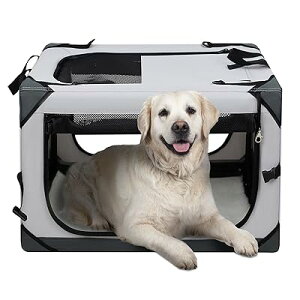  L[P[X  L L[obO ܂ \tgN[g pN[g bNt