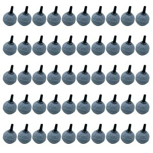 GAXg[ pGA[Xg[ 50 a25mm CA _f  C _fo 