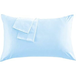 Jo[ ㎿Ȗ100 300{xn zei _̂悤ɏ_炩ȎG肪 