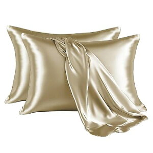 Jo[ 2g ʃTe s[P[X 􂦂  ⊴ ɗD n_