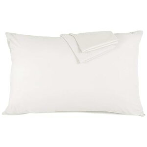 Jo[ 100 STCYs[P[X zei 5FIׂ TeD 300{x h_