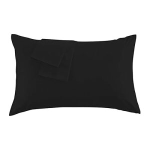 Jo[ ㎿Ȗ100 300{xn zei _̂悤ɏ_炩ȎG肪 