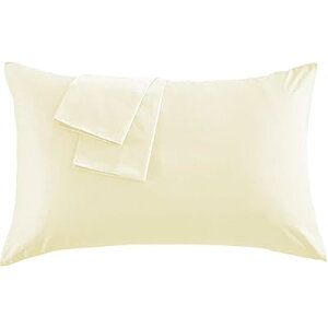 Jo[ ㎿Ȗ100 300{xn zei _̂悤ɏ_炩ȎG肪 