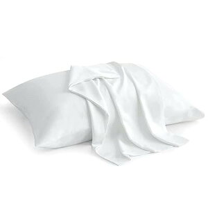 Jo[ VR|@100% Jo[ _炩 炳甧G n s[P[X 􂦂