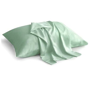 Jo[ VR|@100% Jo[ _炩 炳甧G n s[P[X 􂦂