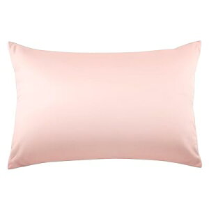 Huibao Jo[ 43 63 100 300{xn Rbg s[P[X zei  