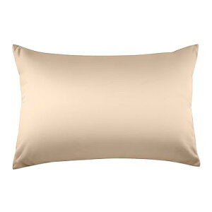 Huibao Jo[ 35 50 100 300{xn Rbg s[P[X zei  