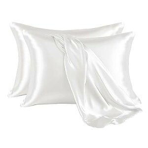 Jo[ 2g ʃTe s[P[X 􂦂  ⊴ ɗD n_