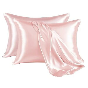 Jo[ 2g ʃTe s[P[X 􂦂  ⊴ ɗD n_