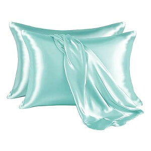 Jo[ 2g ʃTe s[P[X 􂦂  ⊴ ɗD n_