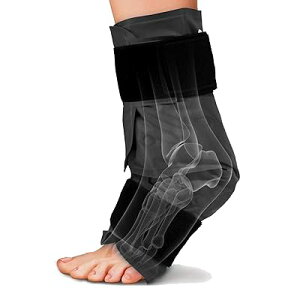  ACVOT|[^[ XX̑ ACVOWFpbN ppbN ŒT|