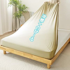 {bNXV[c ėp ChLO Ђ Lт ⊴V[c ɍ׃N[n zʋC QMa