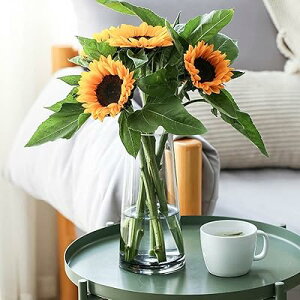 KXx[X ԕr Ԋ 22cm t[x[X KX{g  k AW CeA 