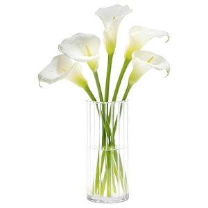 ԕr KX 20cm a9cm ~ k t[x[X } ֑}  KXx[X