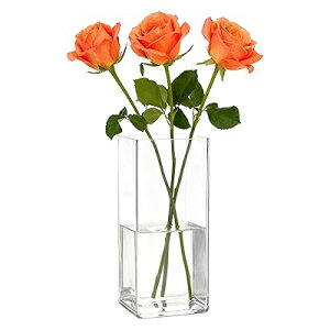 ԕr Ȃ  lp  t[x[X AN i 傫 CeA Ԋ 