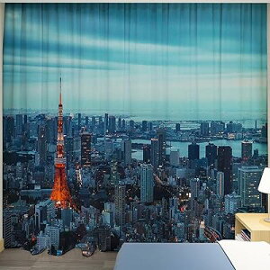 J ՌJ[e Ռ fM h UVJbg CeA  敗 ̍ ss 