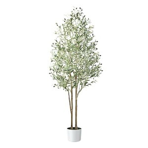 ϗtA y180cmztFCNO[ ^G} CeA Ƃ̒ɒulHϗtA