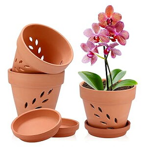 3�Z�b�g �f�Ă���5�� �A�ؔ� ���픫 �ϗt�A���� �I�V���� �t�̌`�̌��t�� �󂯎M�t�� �K