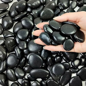 �y�ŏ㋉���ʍ����z�����΁i�ʌ��΁j�E���R�� �u���b�N �i�`������ ���� �� ���� �Ϗܗp ��