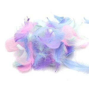 VR H 100Zbg tFU[V[ HV[ |f  EGfBO o (J