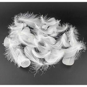 VR H 100Zbg tFU[V[ HV[ |f  EGfBO o (z