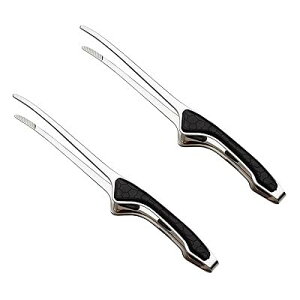 gO ē XeX Lv o[xL[  p g pX^ (2{Zbg)24cm 