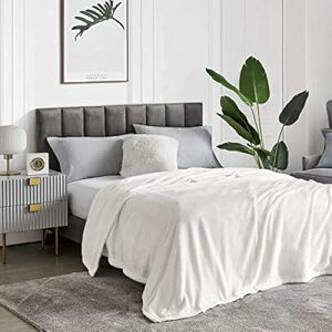 �ѕz �Z�~�_�u�� �~�p �� �u�����P�b�g 160x200cm �}�C�N���t�@�C�o�[ �_�炩�����G�� �t�����l