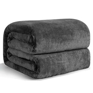 �ѕz �_�u�� �~�p �u�����P�b�g �傫�� 180x200cm �唻 �}�C�N���t�@�C�o�[ �_�炩�����G�� �t