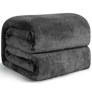 �ѕz �V���O�� �~�p �u�����P�b�g 100x140cm �O���[�u���b�N �}�C�N���t�@�C�o�[ �_�炩�����G