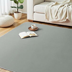 ���O �J�[�y�b�g ���O�}�b�g �O�~ ����~�ߕt�� �h�� �􂦂郉�O �h�_�j �h�L �y�ʐ݌v �I�[